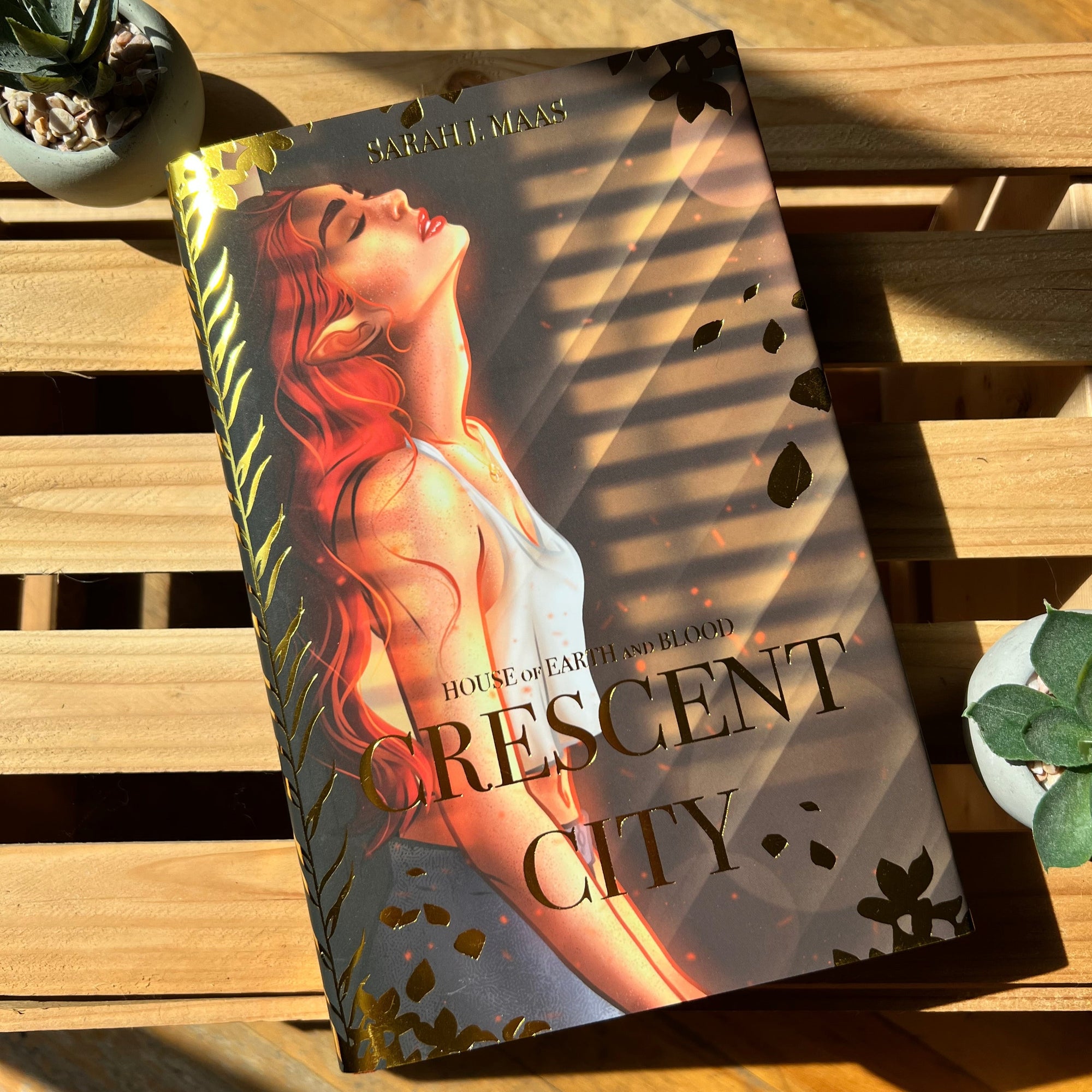 Licensed Gold Foil Crescent City HOUSE OF EARTH & BLOOD ONLY Dust Jacket | Hardcover Dust Jackets