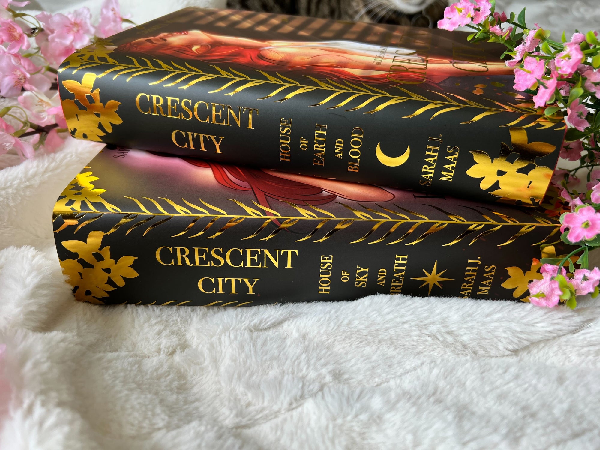 Licensed Gold Foil Crescent City Dust Jacket | Hardcover Dust Jackets